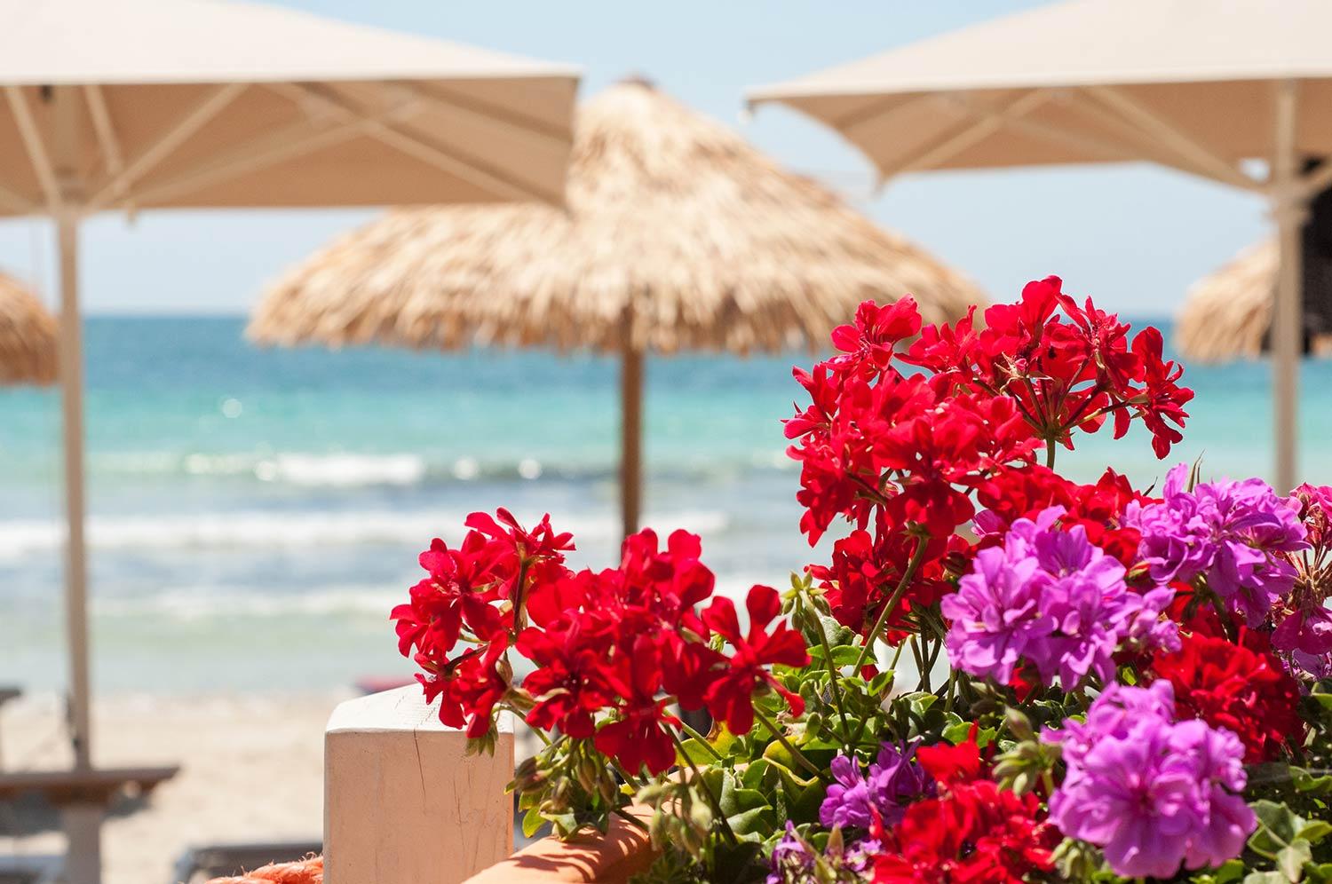 Conchiglia Azzurra Resort & Beach Porto Cesareo Dış mekan fotoğraf